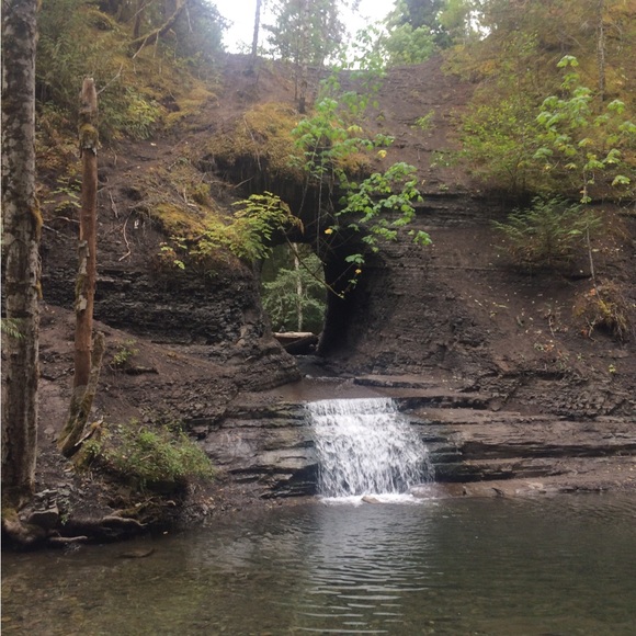 Meet your Posher, Sherry - Picture 3 of 5